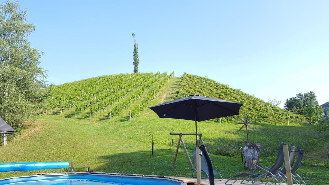 Hotel Weingut Lieschnegg à Leutschach Extérieur photo